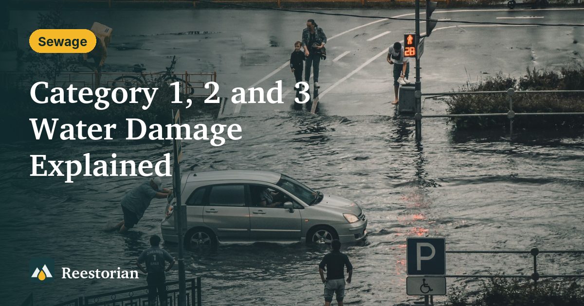 Floodwater covering a city street around a parked car, an example of Category 3 water